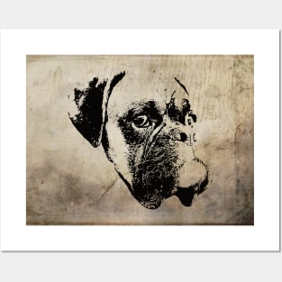 Boxer Dog Posters and Art